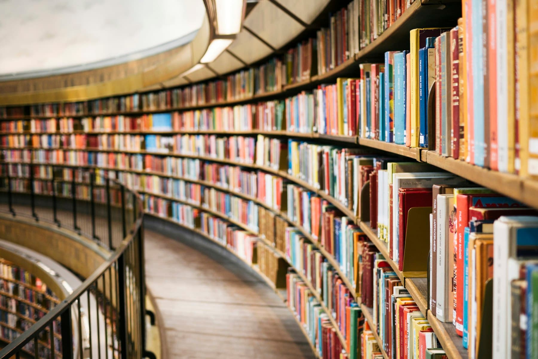 Curved bookshelves in a library. This is a decorative photograph, not a picture of the trust.